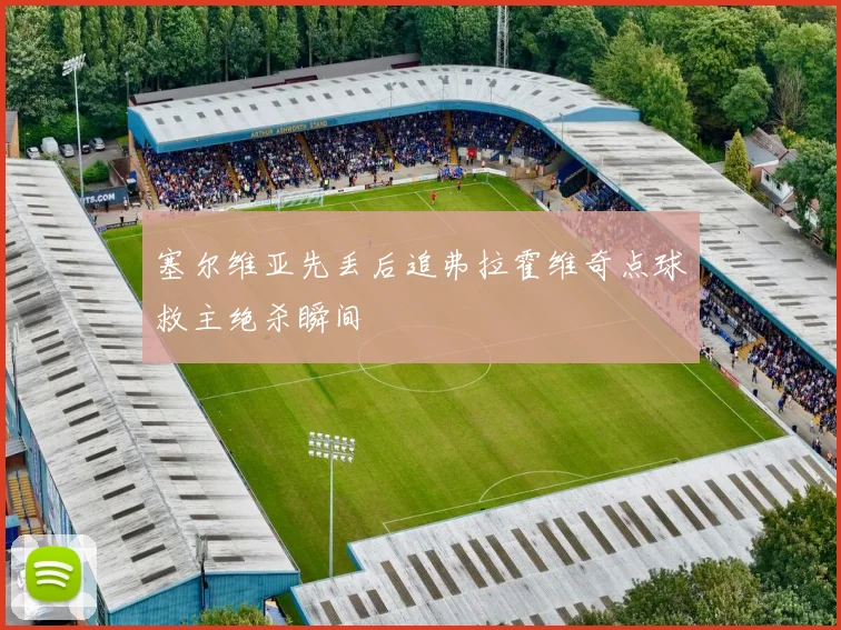 塞尔维亚先丢后追弗拉霍维奇点球救主绝杀瞬间