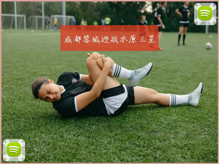 成都蓉城迎战水原三星