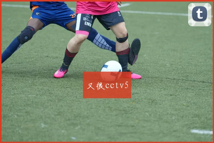 又很cctv5
