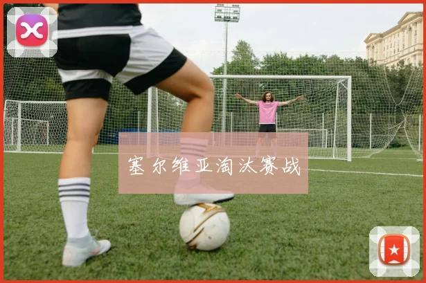 塞尔维亚淘汰赛战