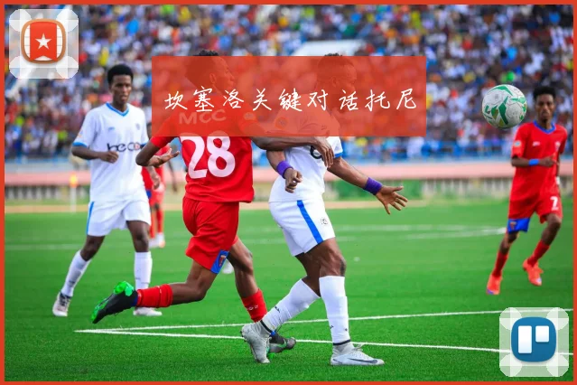 坎塞洛关键对话托尼